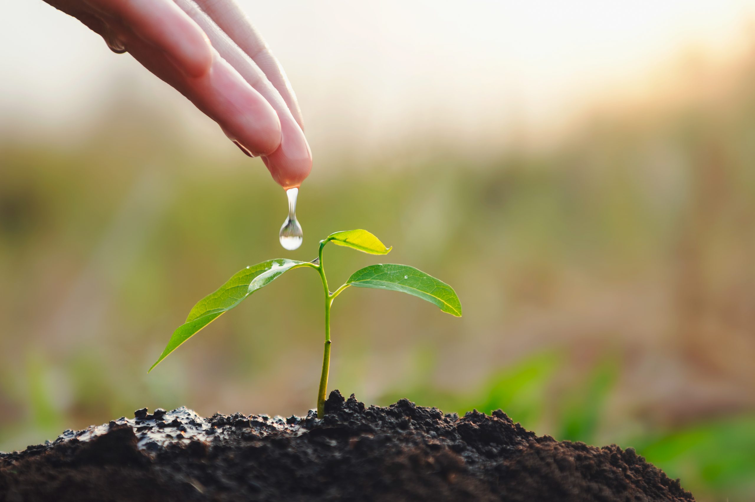 Picture of Children's Ministry Team